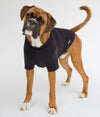 A dog wearing a black EMF protective vest  Blokka