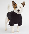 EMF protective dog coat Blokka on a small dog