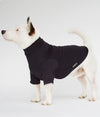 Dog wearing EMF shielding coat Blokka Amberley