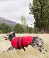 Dog running in EMF protective dog coat Blokka