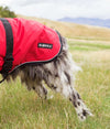 Dog wearing red EMF protective winter jacket Blokka for dog