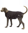 EMF protective dog coat for winter on a dog