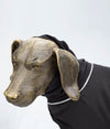 EMF protective dog jacket Blokka with extended hood on a dog