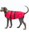 EMF radiation protective jacket on a dog
