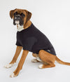 The Blokka® Amberley Summer / Indoor EMF Protective Dog Vest