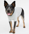 The Blokka® Amberley Summer / Indoor EMF Protective Dog Vest